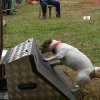 foire-haricots 2011-09-17et18